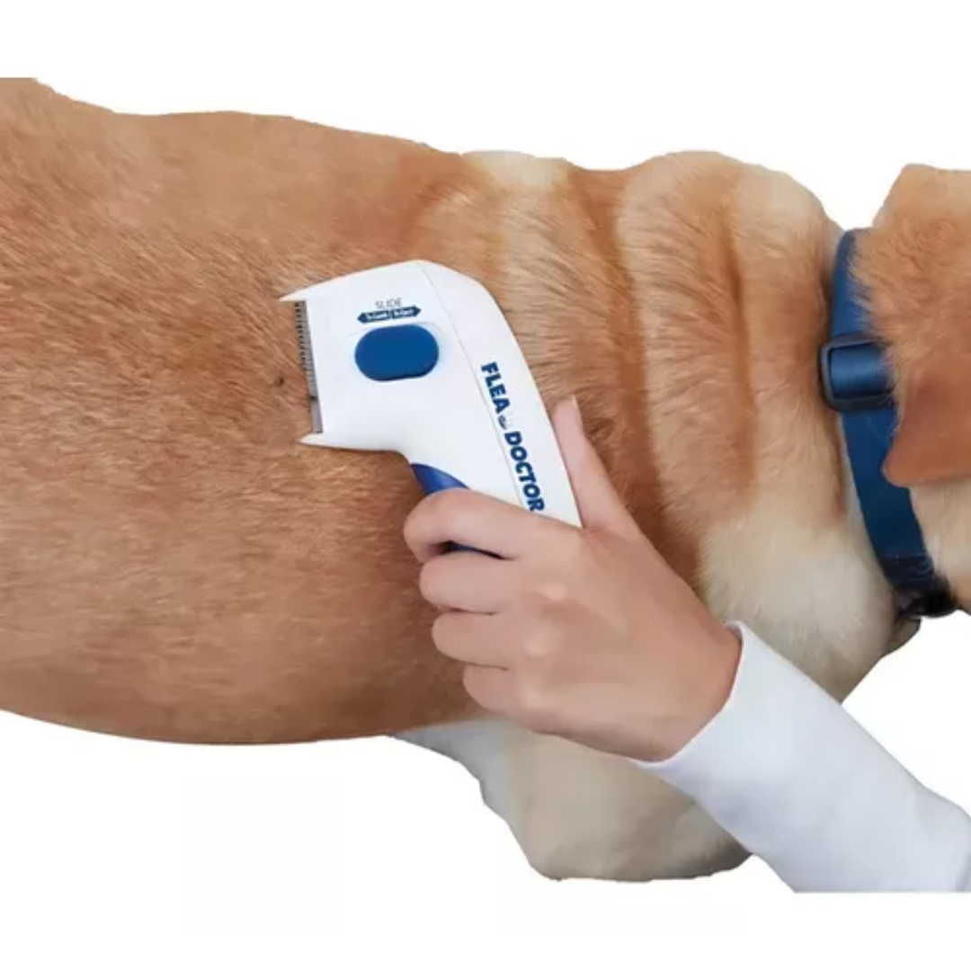 Miniatura 3 de peine eléctrico mata las pulgas